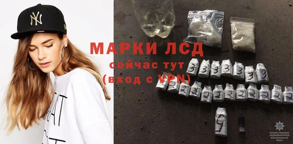 прущие грибы Алексин