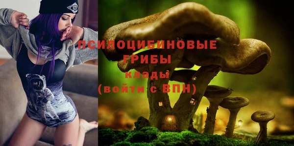 эйфоретик Алексеевка