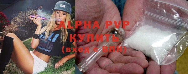 прущие крисы Алзамай