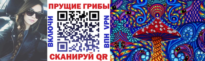 MEGA как войти  где найти   Ардатов  Галлюциногенные грибы Psilocybine cubensis 
