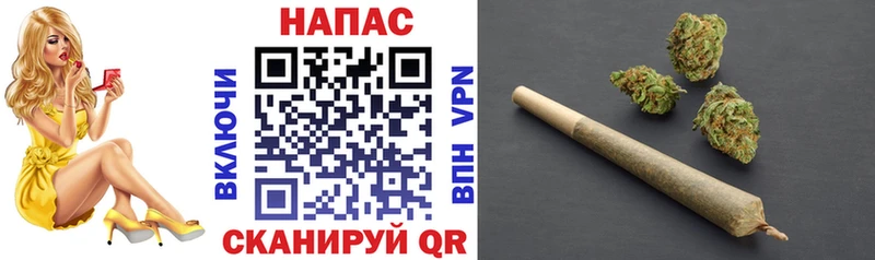 Бошки марихуана семена  Ардатов 